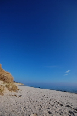 Almost tropical Almost tropical