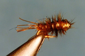 Pheasantless PTN (Beadhead) #32 Pheasantless PTN (Beadhead) #32