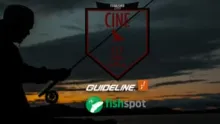 Video thumb for CheesyFly - III - Fly Away