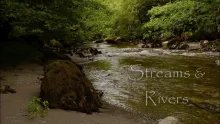 Video thumb for Splitcane i summer streams