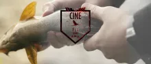 Video thumb for Fifty Shades of Grayling