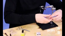 Video thumb for Polar Shrimp