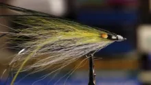 Video thumb for Single Flat Wing