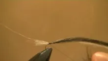 Video thumb for Tim's B&B trout fly