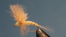 Video thumb for Mallard and Yellow Light Cahill
