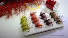 Video thumb for Claret Irish Hopper