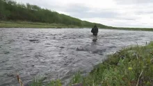 Video thumb for North Sweden