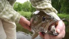 Video thumb for Simms MIdwest Tour: Trailer
