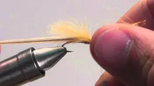 Video thumb for CDC Yellow Sally