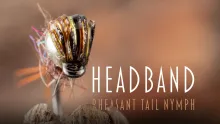 Video thumb for Headband PTN