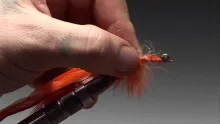 Video thumb for Bunny Ragworm