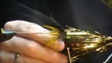 Video thumb for Yellow Belly