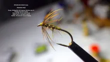 Video thumb for Woodcock & Hare's Lug Spider