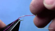 Video thumb for Pinkie Worm-Midge