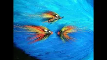Video thumb for Poker Shrimp