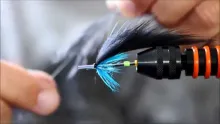 Video thumb for Futurefly