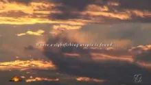 Video thumb for Sterkfontein