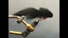 Video thumb for Smith's Butt Monkey