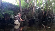 Video thumb for Trout Love part three