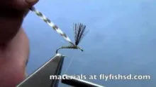 Video thumb for Sipper Midge