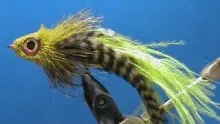 Video thumb for Pike Angus