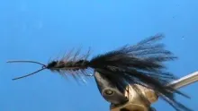 Video thumb for Murray's Helgramite