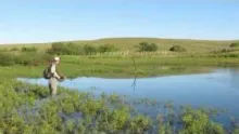 Video thumb for Trairas pampa gaucho - Brasil