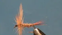 Video thumb for Banks