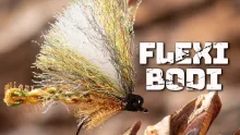 Video thumb for Flexi Bodi