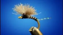 Video thumb for Bunny Midge